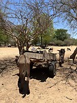 IMG_0490