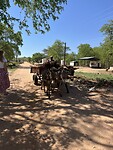 IMG_0521