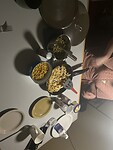 IMG_0537