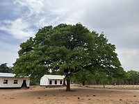 IMG_0582