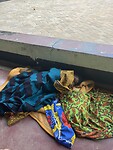 IMG_0613