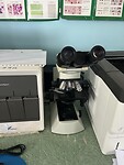 IMG_0685