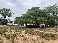 IMG_0728