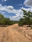 IMG_0797