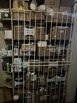 IMG_0846