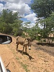 IMG_0906