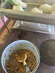 IMG_1004