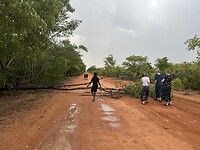 IMG_1293