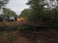 IMG_1296