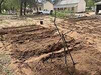 IMG_1330