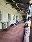 IMG_3343