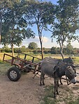 IMG_3582