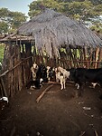 IMG_3595