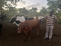 IMG_3593