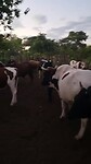 Rondleiding
