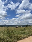 IMG_4965