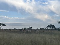 IMG_6101