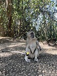 IMG_6306