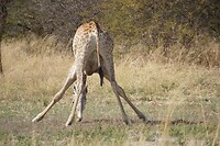 a7ab1da9-6085-4c87-bb65-e0ed4f8350a4