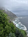 IMG_8263