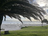IMG_8514
