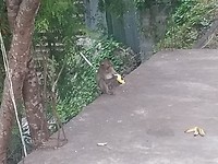 IMG_20181018_165432917