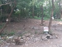 IMG_20181018_165032718