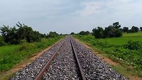 Bamboetrein