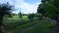 IMG_20230624_095302218_HDR