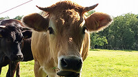 IMG_20230826_152747264