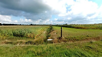 IMG_20230827_111314983