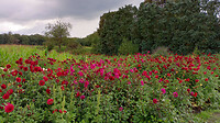 IMG_20230827_123917051_HDR