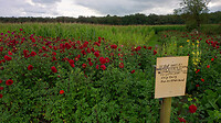 IMG_20230827_123930029_HDR