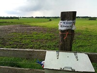 Eitjes langs de weg