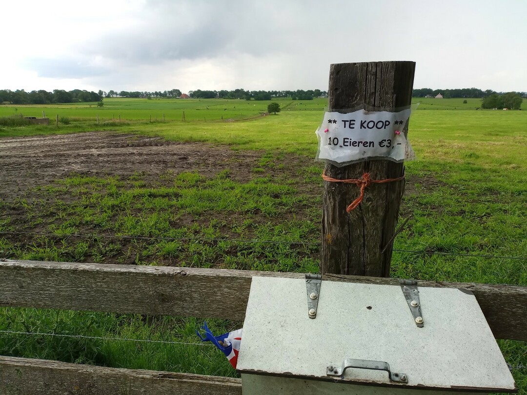 Eitjes langs de weg
