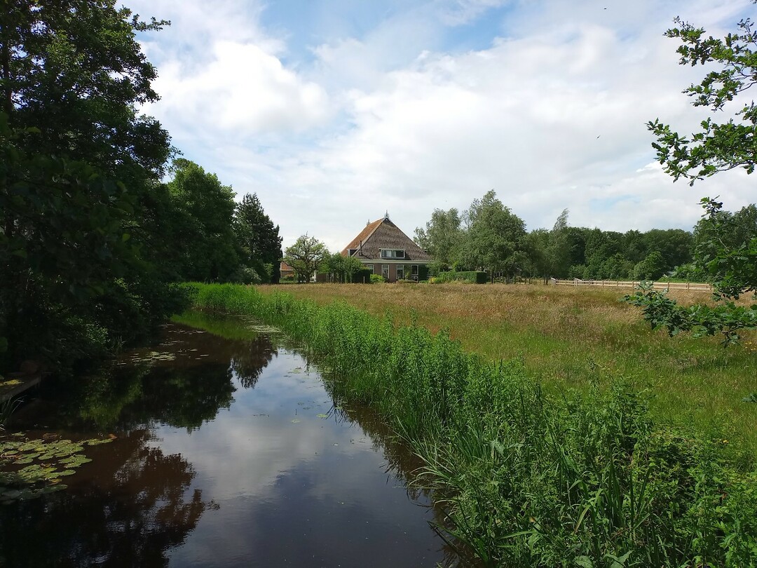 Gezicht over water en boerderij