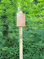 Jolderenbosk