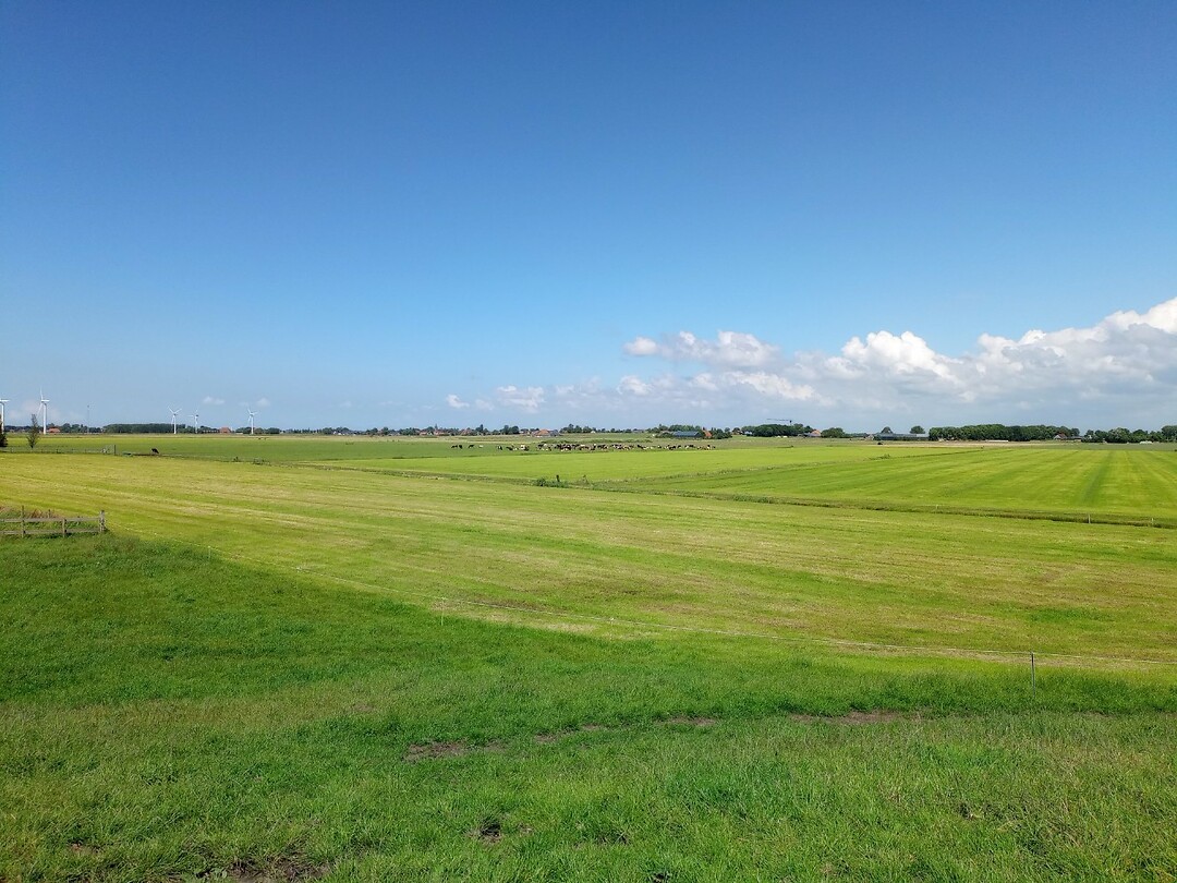 Richting Warns kijkend