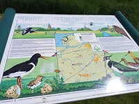 Vogelkijkhut