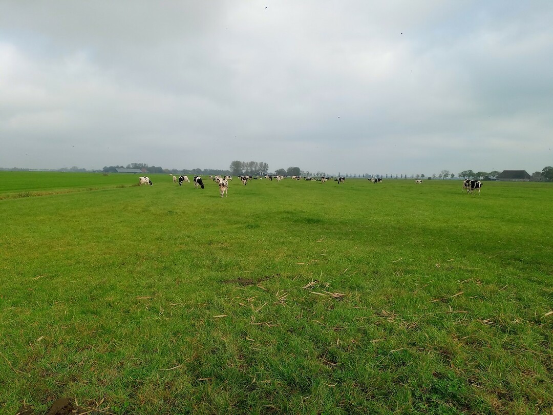 Weiland bij Jorwert