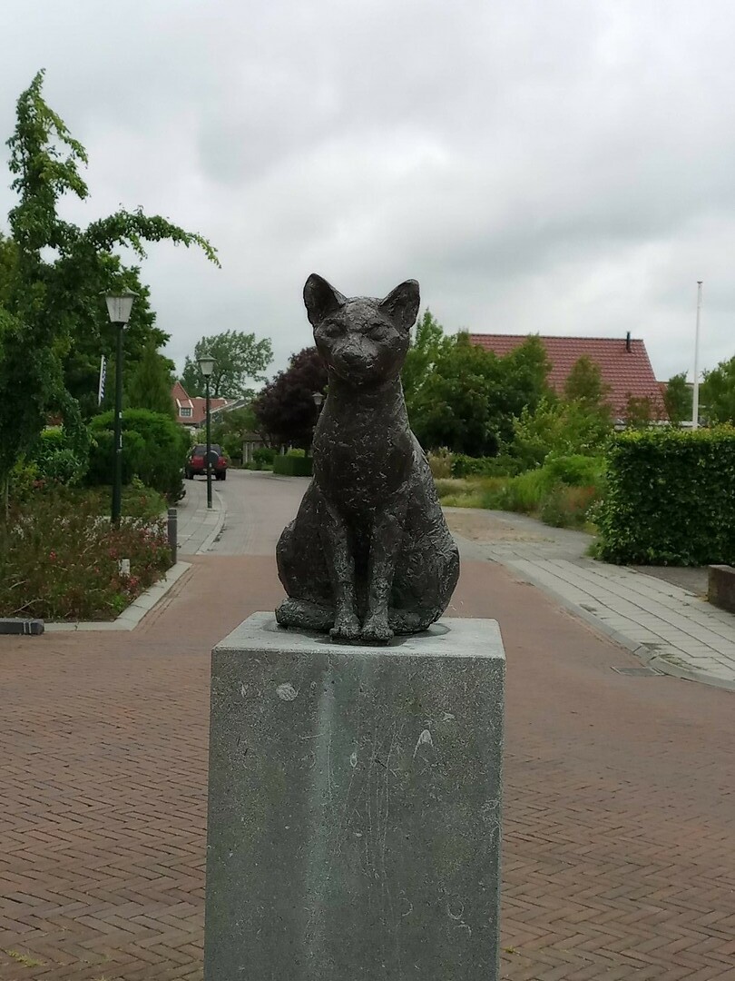 Jirnsummer Kat