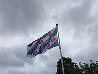 Friese vlag