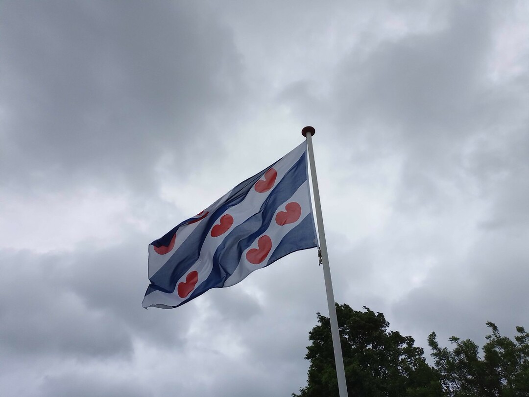 Friese vlag
