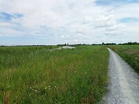 Graskant voorbij Berltsum