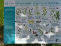 Infobord wat er groeit