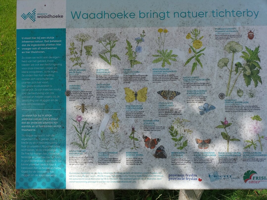 Infobord wat er groeit