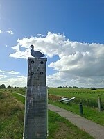 Ganzengedooggebied