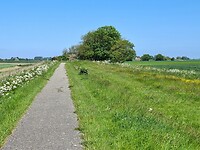 Vanaf Koehool