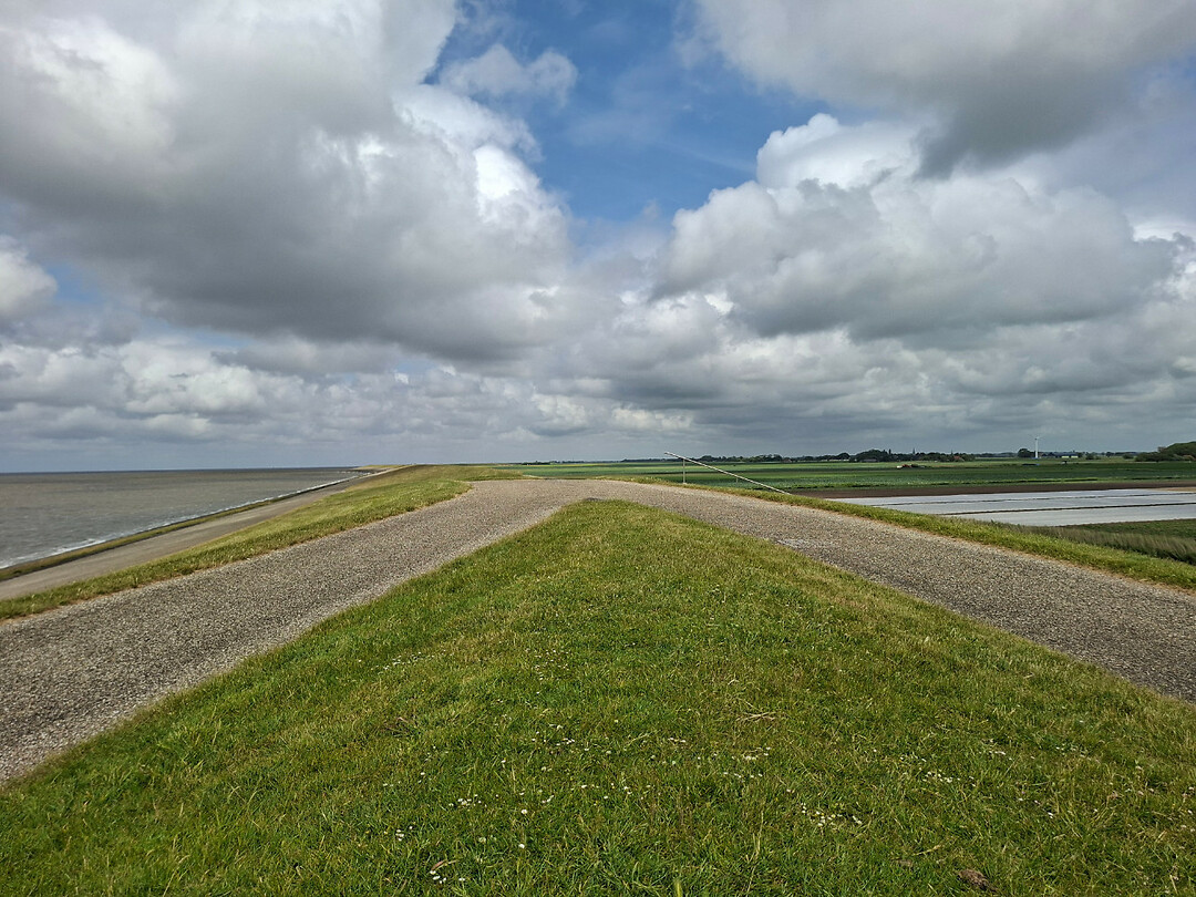 Dijk Waddenzee