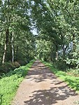 Groene lanen